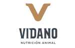 vidano